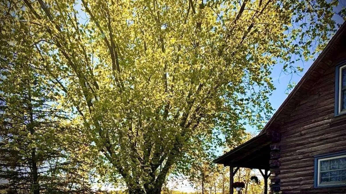 Ingalls Cabin | Cozy Rustic 3-bedroom river cabin with WiFi on the Menominee River
