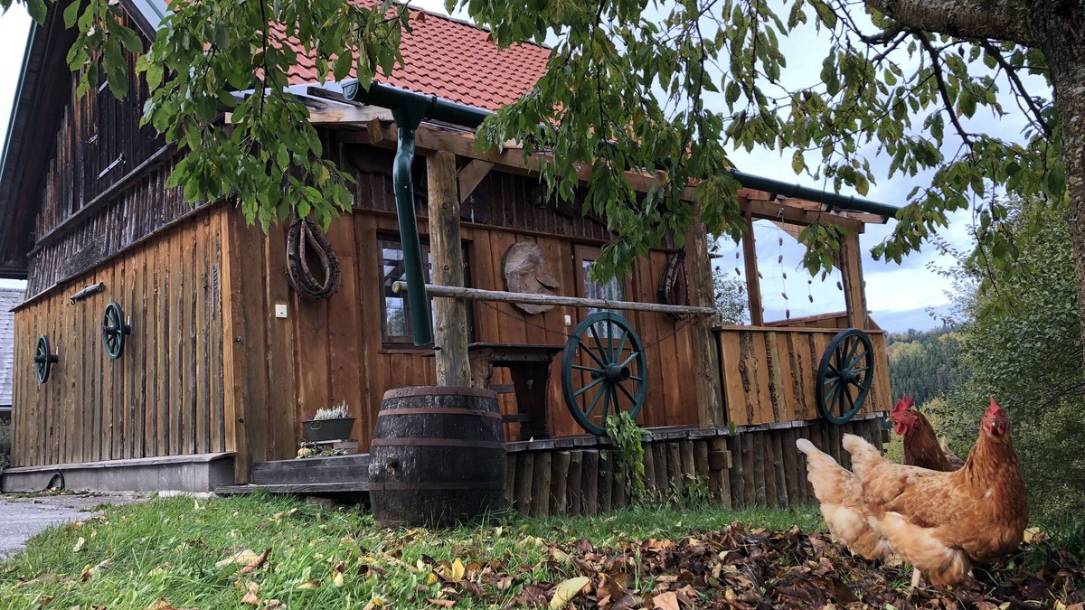 Langschlag House | Cozy, rustic vacation home in a fantastic location