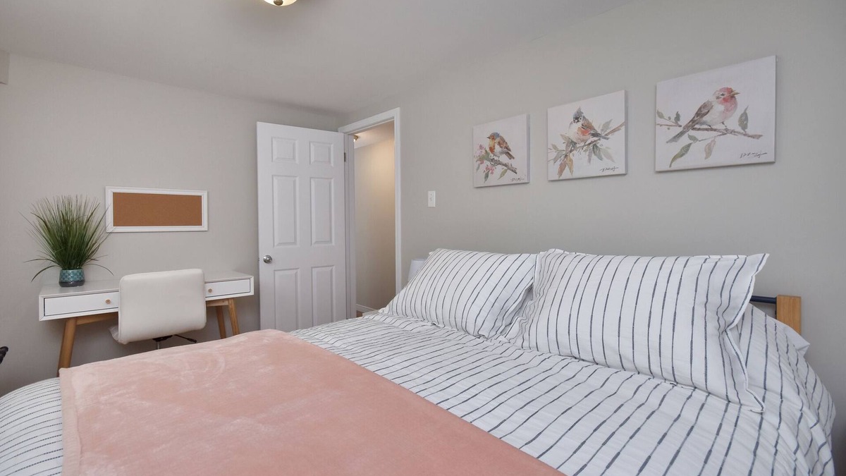 Moncton Apartment | Cozy separate basement appartment in a safe and quiet neighborhood