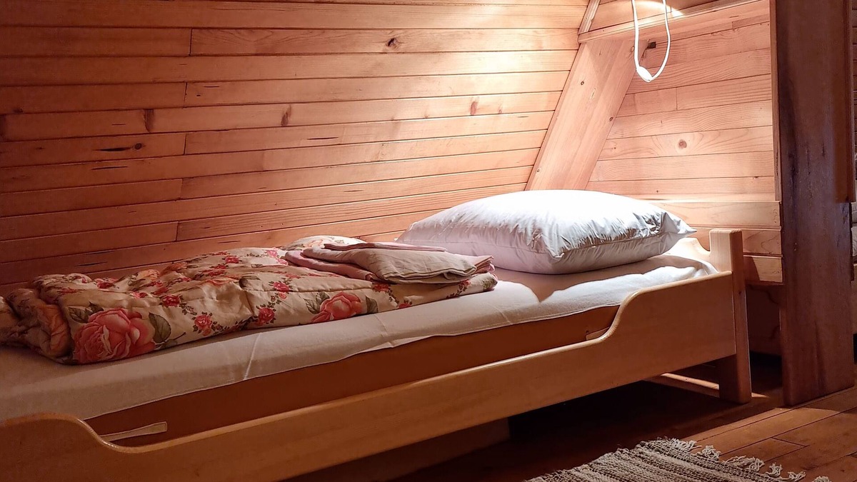 Zrece Ski Chalet | Cozy ski retreat/Summer Log cabin w/grill area