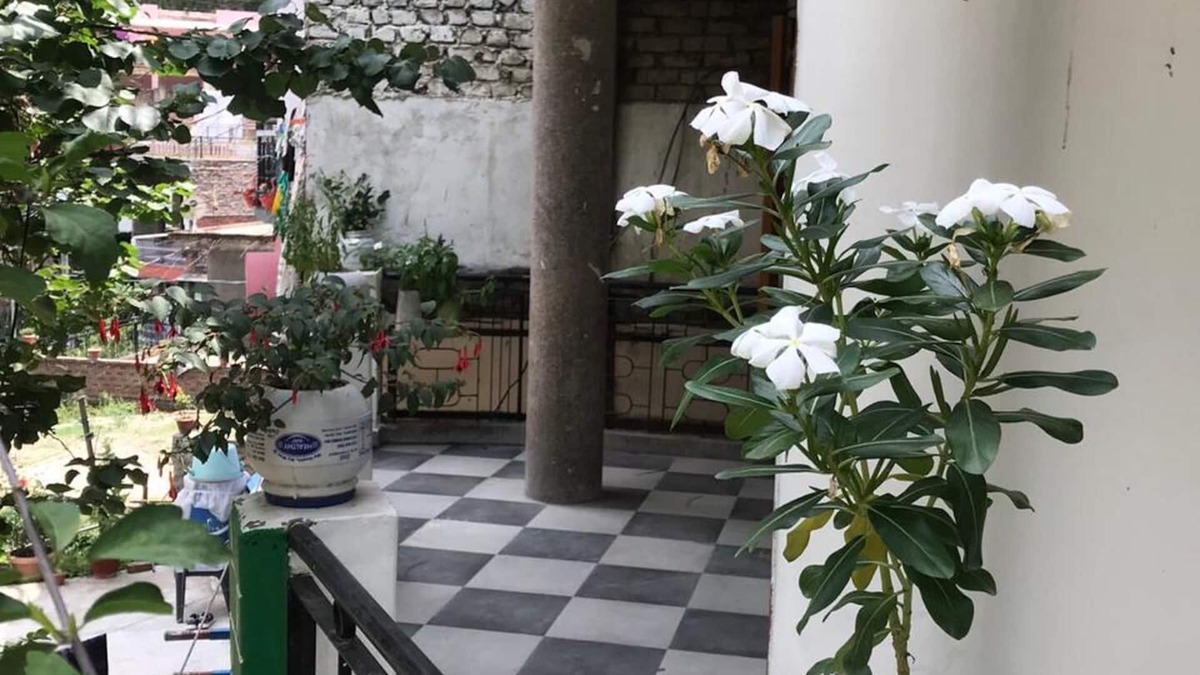 Deoghat Apartment | Cozy Solan Apartment With Stunning Views