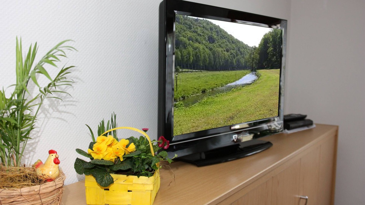 Schuttertal Apartment | Cozy * - star apartment with large covered balcony