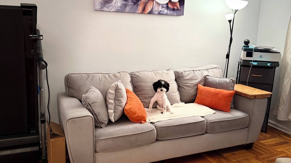 New Rochelle Apartment | Cozy studio apartment in charming New Rochelle with WiFi and AC