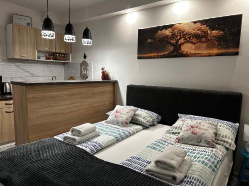 Doboj Apartment | Cozy studio Cik-Cak