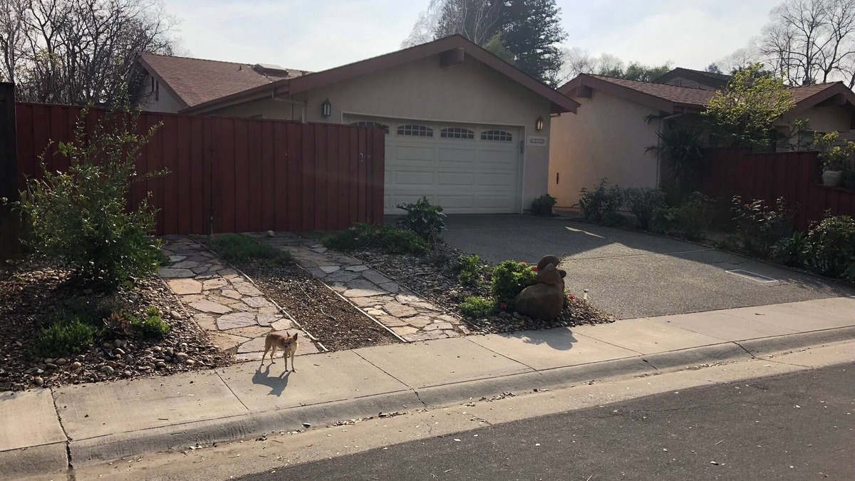 Davis Apartment | Cozy studio in Davis for you and your pet