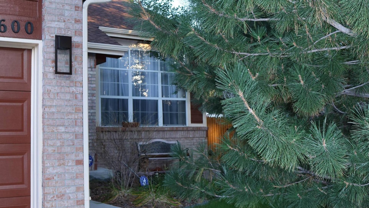 Aurora Highlands House | Cozy & Stylish Walkout Basement Apartment
