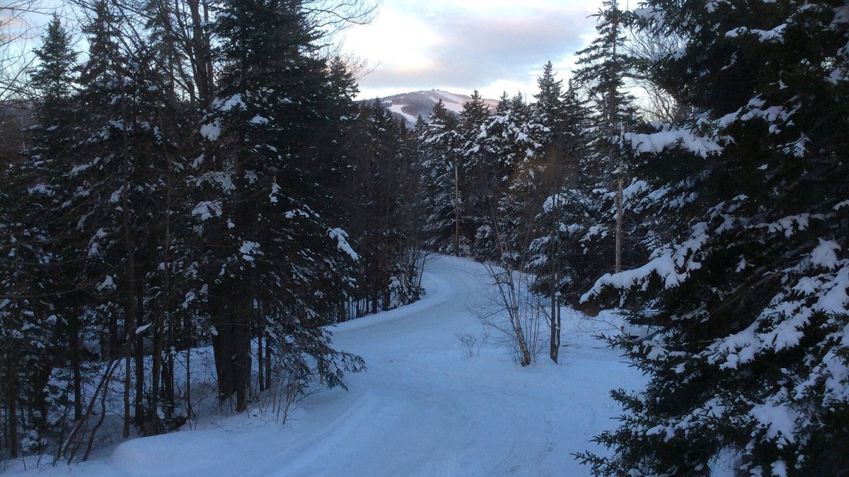 West Dover Ski Chalet | COZY TREE LIKE HOUSE. WALK TO MARKET & REST. LOW RATES. 1 MILE TO MT SNOW.