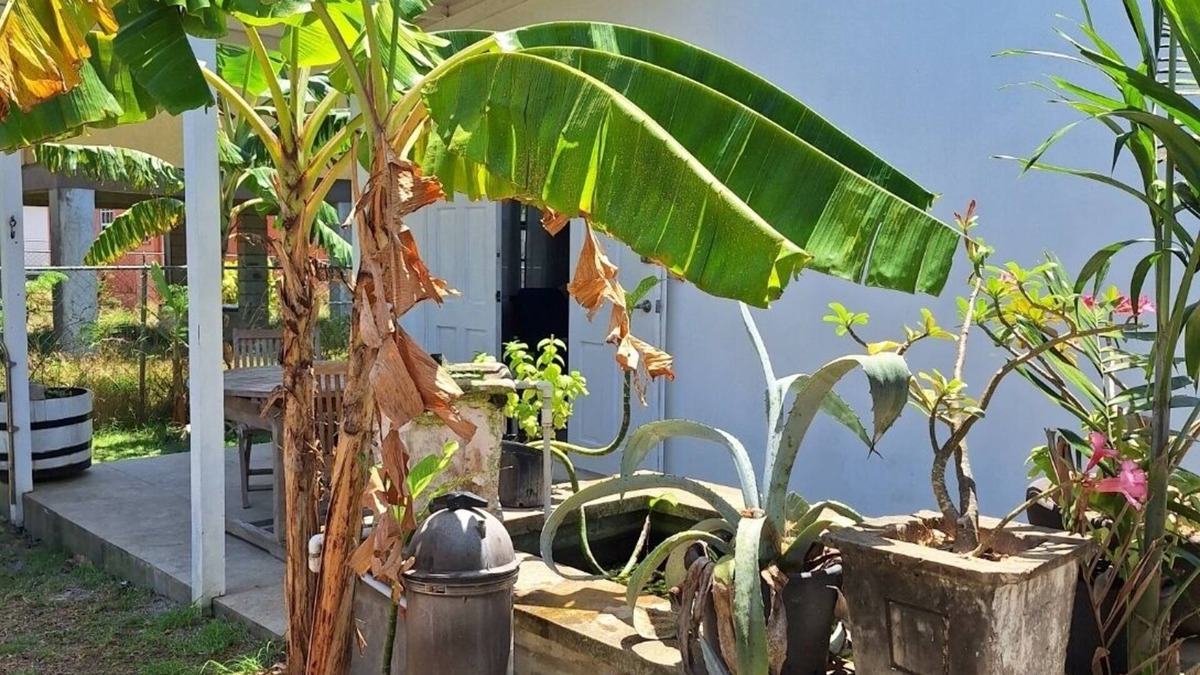 Douglas Apartment | Cozy Tropical Escape-1 Bedroom