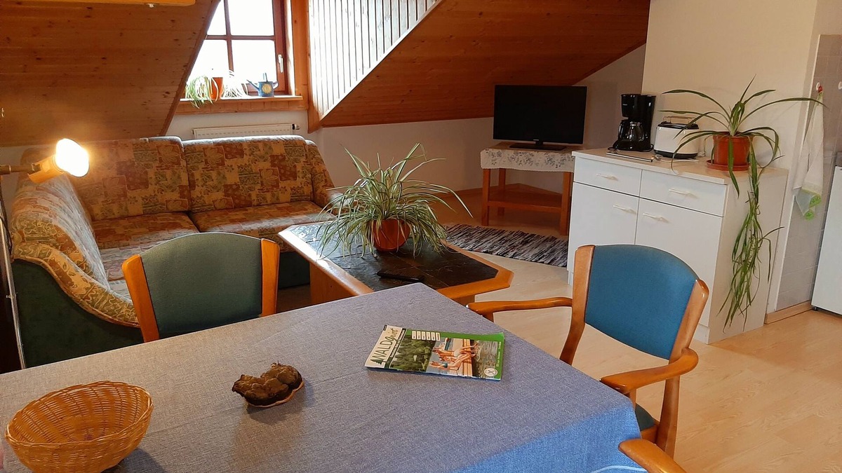 Hinterschmiding Apartment | Cozy vacation apartment 50sqm with balcony