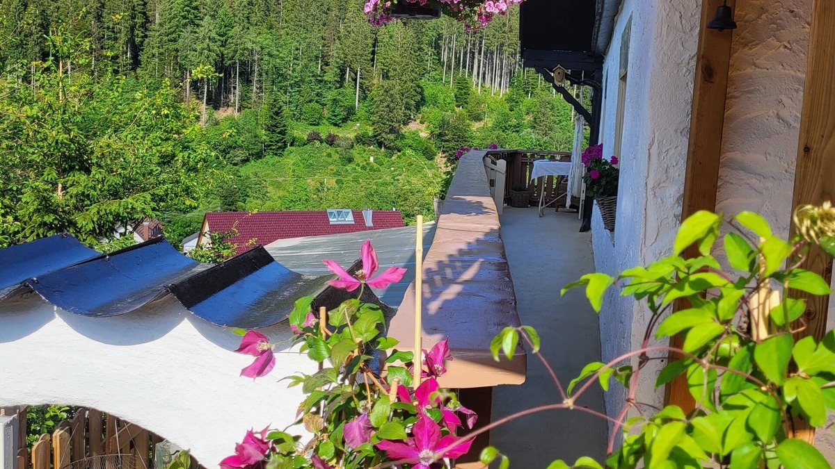 Huzenbach Apartment | Cozy vacation apartment Schwarzwaldglück Pets allowed/fenced area