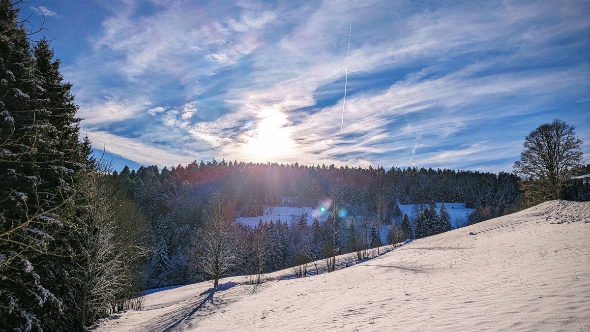 Blasiwald Apartment | Cozy vacation apartment in Black Forest style directly on the Schluchsee