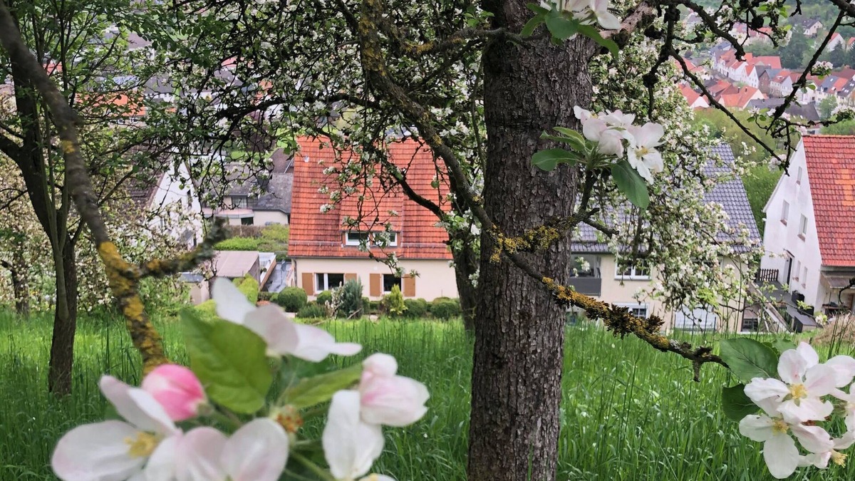 Dalhausen House | Cozy vacation home with a beautiful view of the Weserbergland