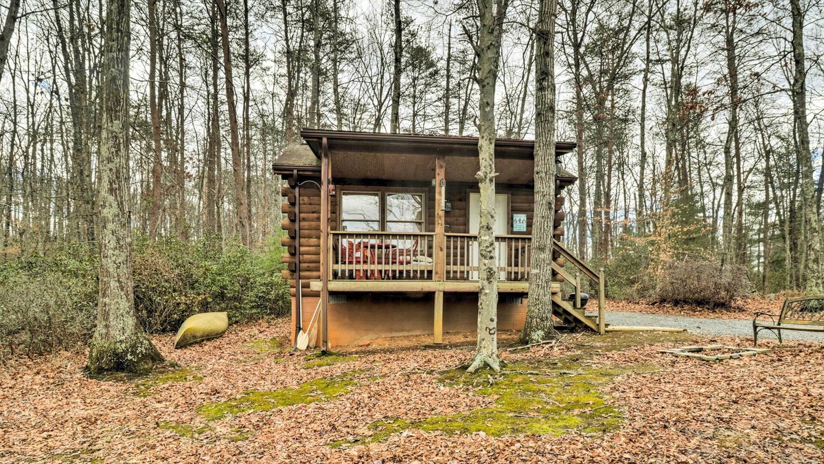 Keene Apartment | Cozy Virginia Cabin Rental - Dogs Welcome!
