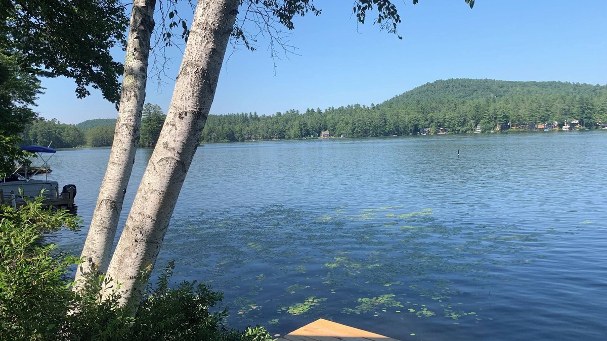 Sunapee Cottage | Cozy Waterfront 2-bedroom Cottage on Perkins Pond, Sunapee, NH