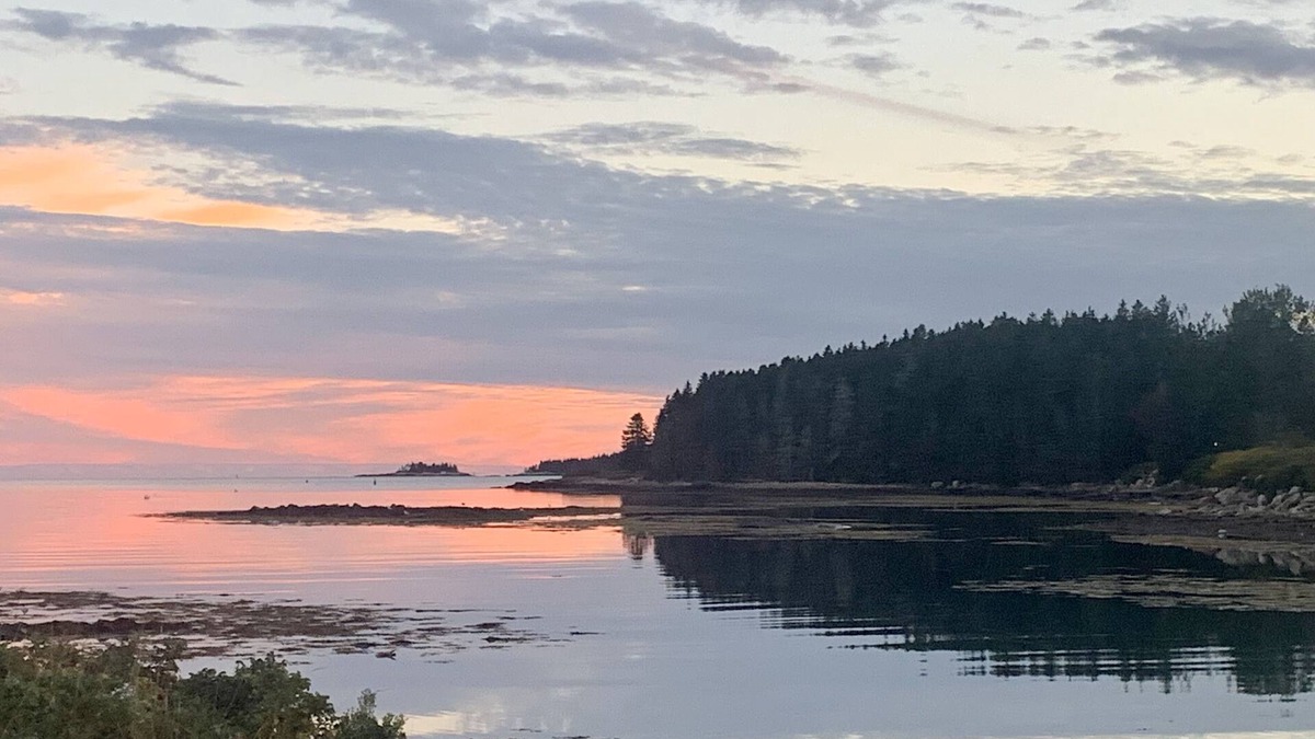 Winter Harbor Cottage | Cozy Waterfront Cottage, Henry Cove. Winter Harbor