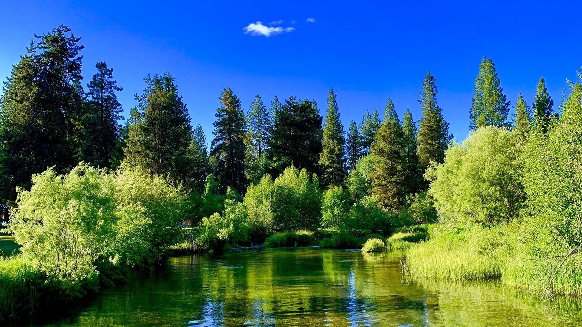 Chiloquin Cabin | Crater Lake Resort