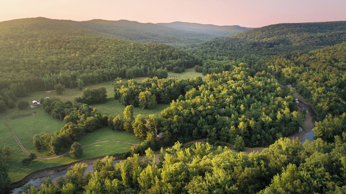 Pettigrew Cabin | Creek Cottage, in the Ozarks!