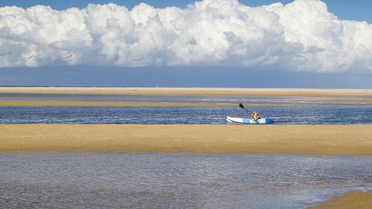 Sawtell Apartment | Creekside apartment - Lovely water views