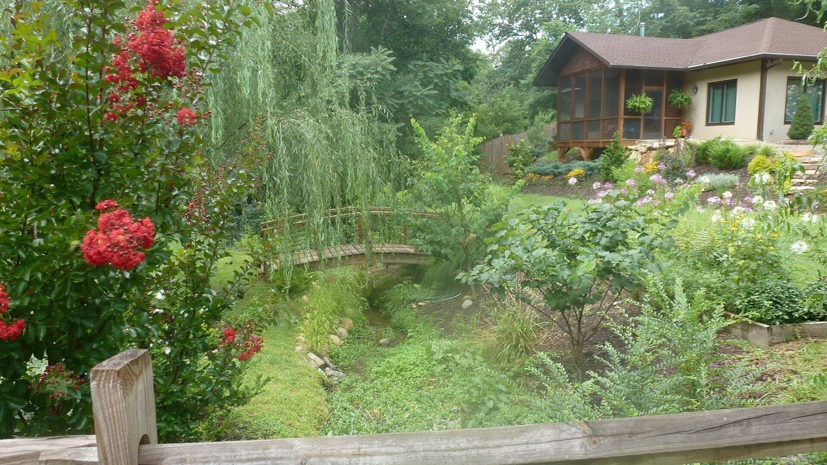 Asheville House | Creekside Cottage! Hiking. Gardens. 5 min to town. Close to shopping/dining.WiFi