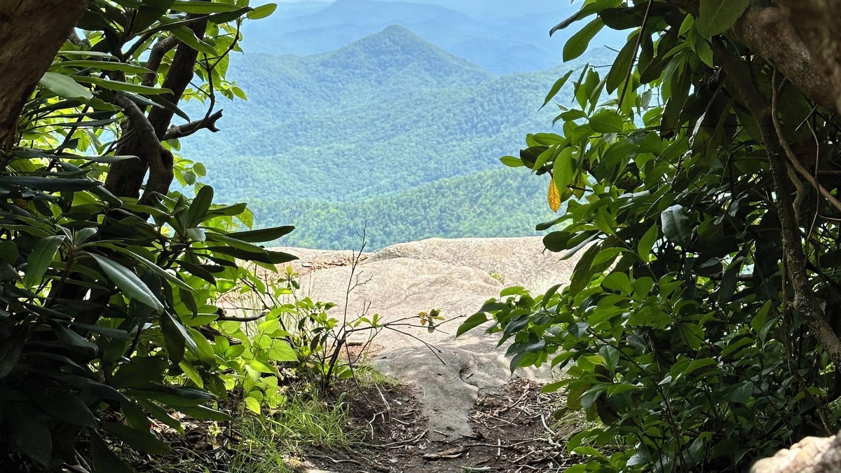 Otto Condo | Creekside in the Smoky Mtns.nhas a rejuvenating quality. Something we all need!