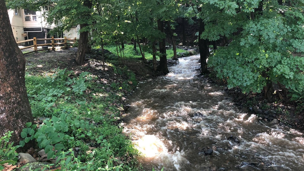 Beemerville House | Creekside Lodge on the Delaware River with a Seasonal Creek in the side yard