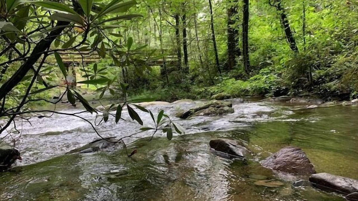 Ellijay House | Creekside Storie.Waterfalls Hike Bike Waterfalls!, Creekside Storie. Hot Tub, Cohutta Forest, Hiking.