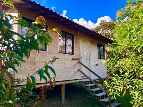 Medellin House | Crisantema 2
