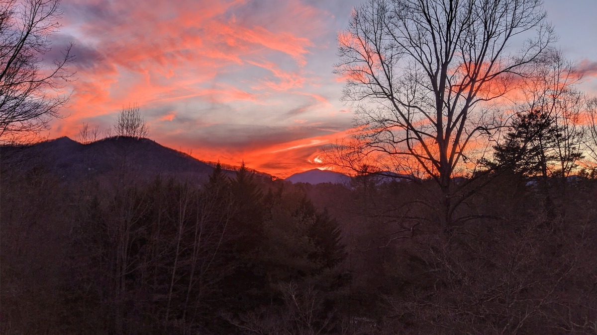 Leicester Apartment | Critter Hill Studio Apt. close to downtown Asheville and the Blue Ridge Parkway