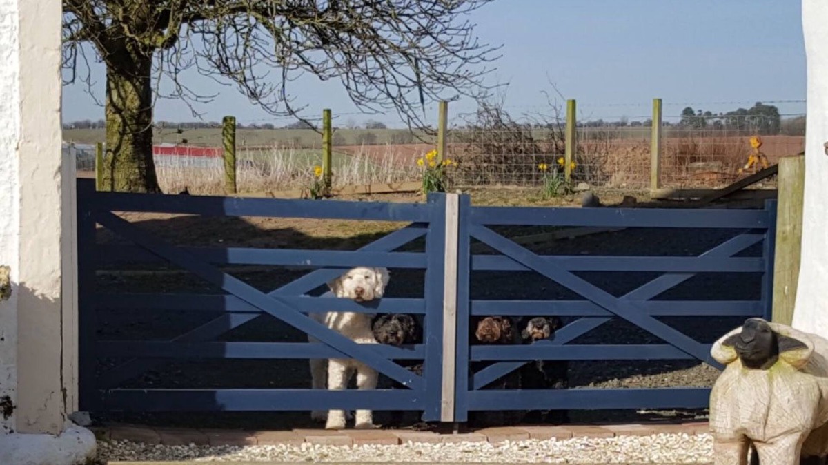 Mauchline Bed & Breakfast | Crofthead Farm House