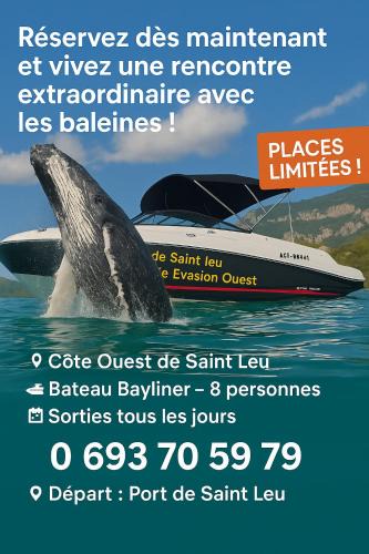 Saint-Leu Boat Rental | Croisièouest bateau privatise O6, 93,70,59,79