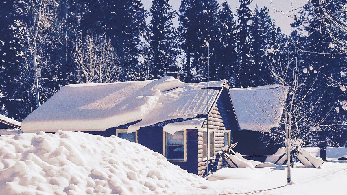 Bayfield Cabin | Croll Cabins-Price Bunkhouse - #4 at Vallecito Lake