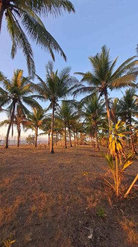 Sablayan Resort | Crossroads Beach House