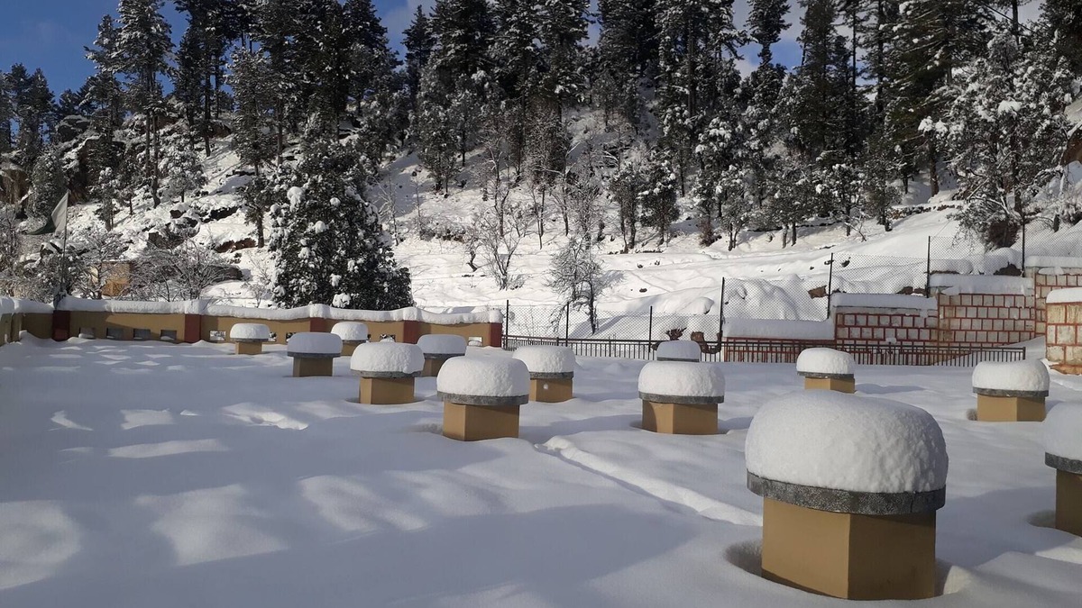 Malam Jabba Hotel | Crown Palace Hotel And Restaurant