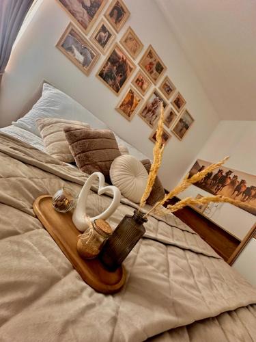 Kalocsa Apartment | Csatangoló Lovas Apartman Gold