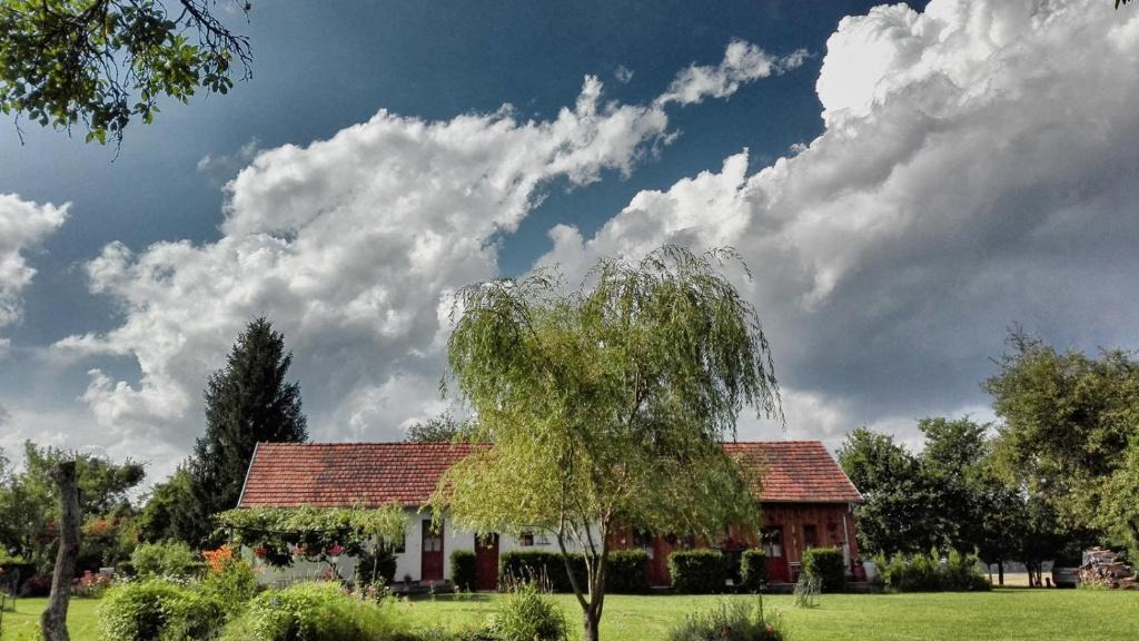 Szalafo House | Cseri Porta
