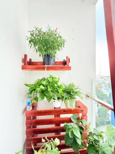 Thu Dau Mot Apartment | Cskyview KDC Chánh Nghĩa-Kang Hy