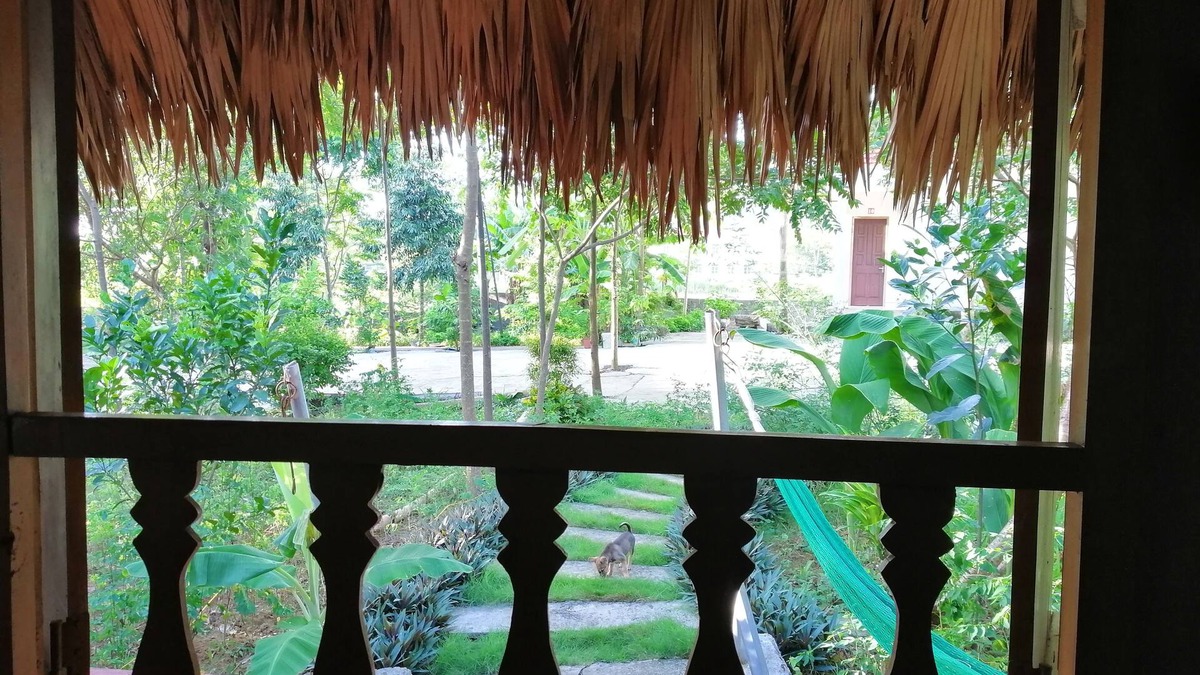 Nho Quan House | Cuc Phuong Bungalow