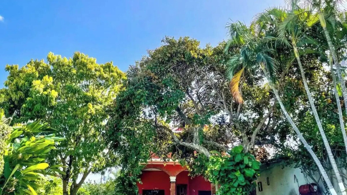 Campeche House | Cuevita + Nido /Piscina & Jardín compartido🥥🤍✨nn