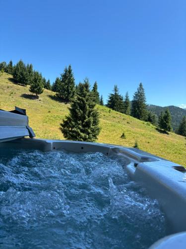 Colibita Villa | Cuibul lui Răzvan - Domeniul Barabuc Colibița