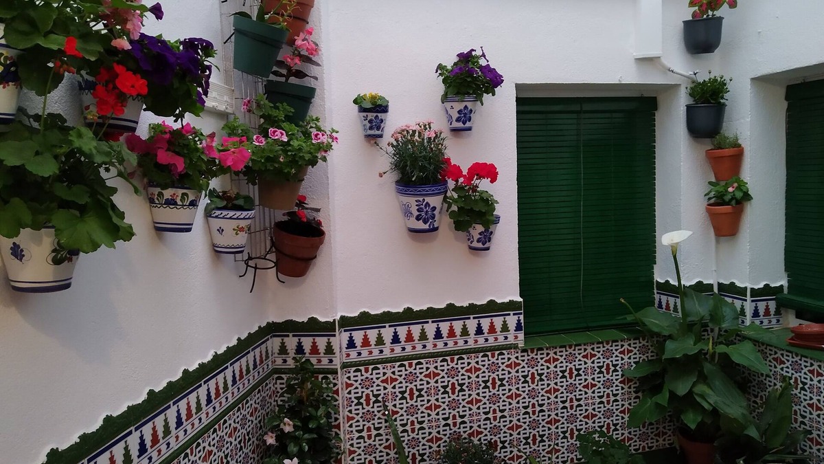 Almagro Condo | CULTURES AND COLORS IN ALMAGRO WIFI and private parking. Promotion to Companies