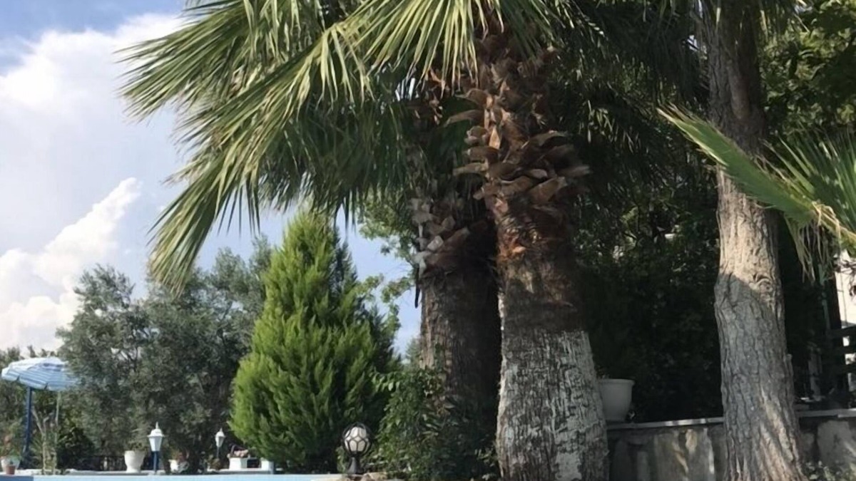 Dikili Hotel | Cumhur Yesilirmak Butiqe Hotel