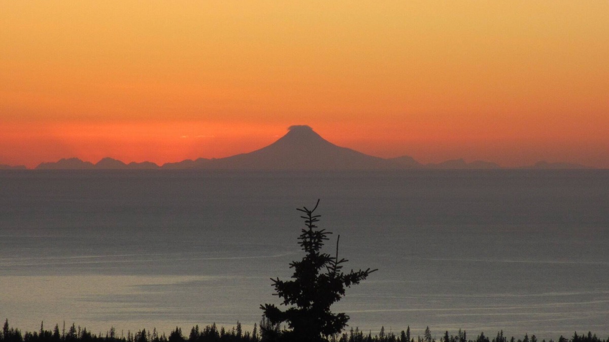 Diamond Ridge House | Custom Built Home W/Amazing Views Of Kachemak Bay