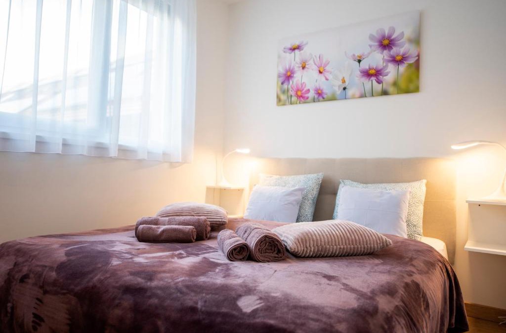 Pecs Apartment | Cute apartman- free parking
