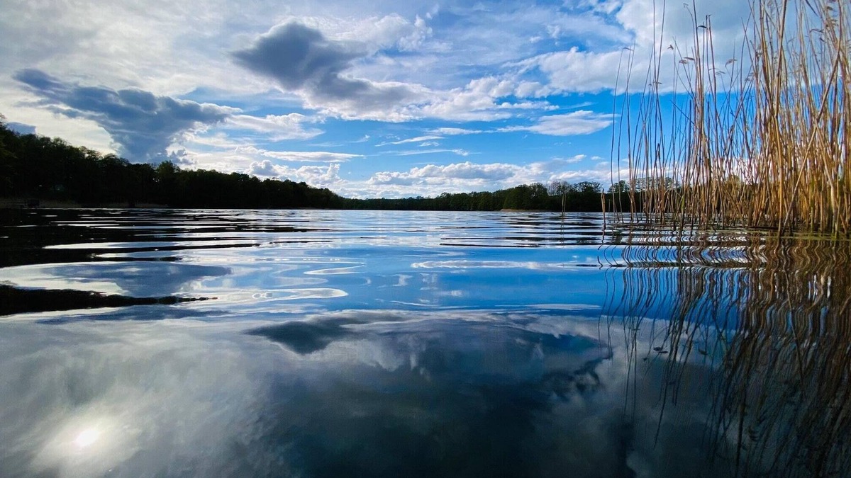 Bohmerheide House | Cute Bungalow on the lake, - to relax and unwind - idyllic location