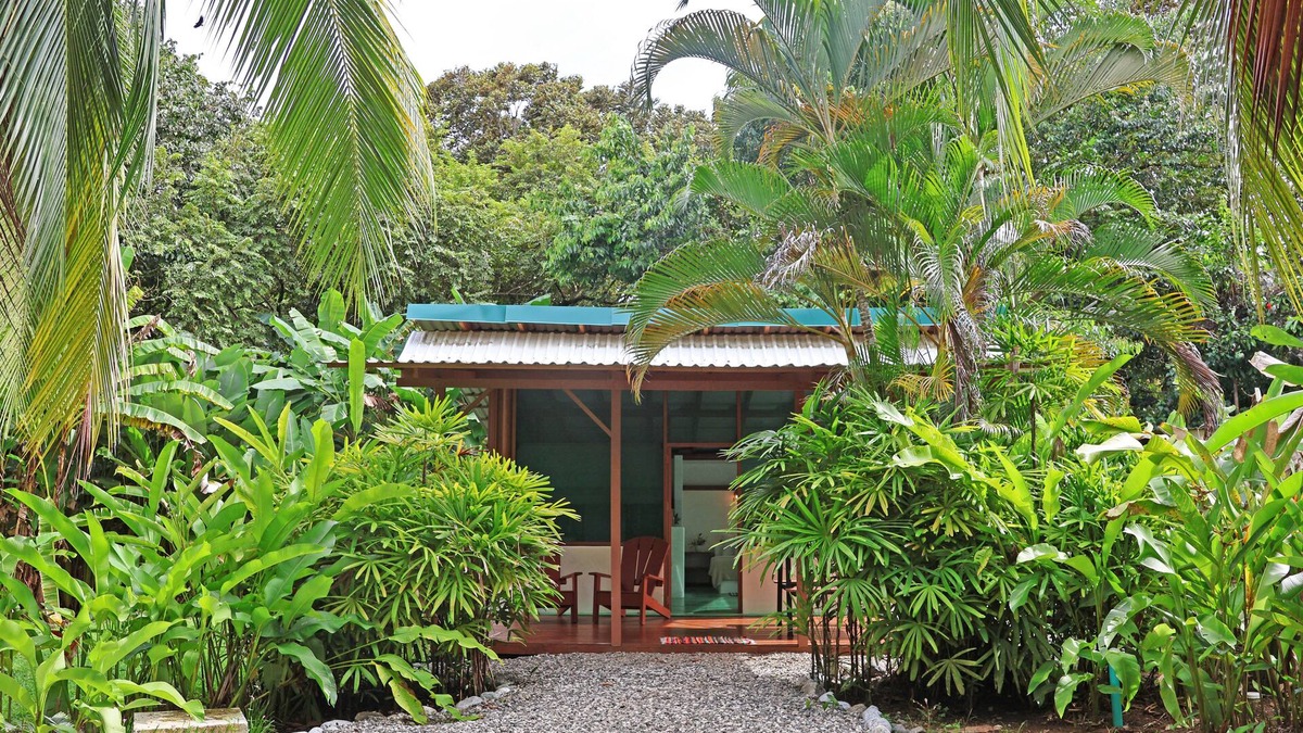 Cabo Matapalo Cabin | Cute Cabaña on 3 Beachfront Acres, Playa Carbonera