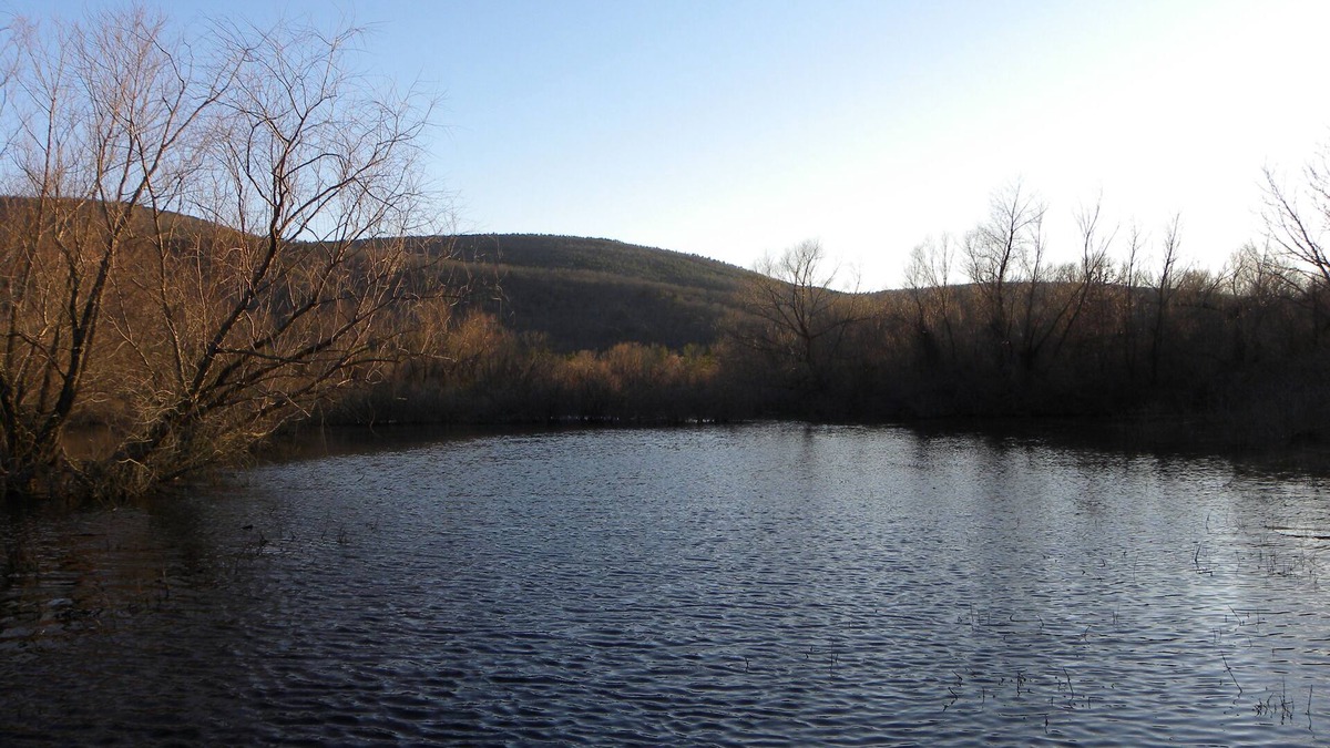 Nashoba Cabin | Cute Cabin in the Mountains and on River property. 2 ACs/High Speed Internet