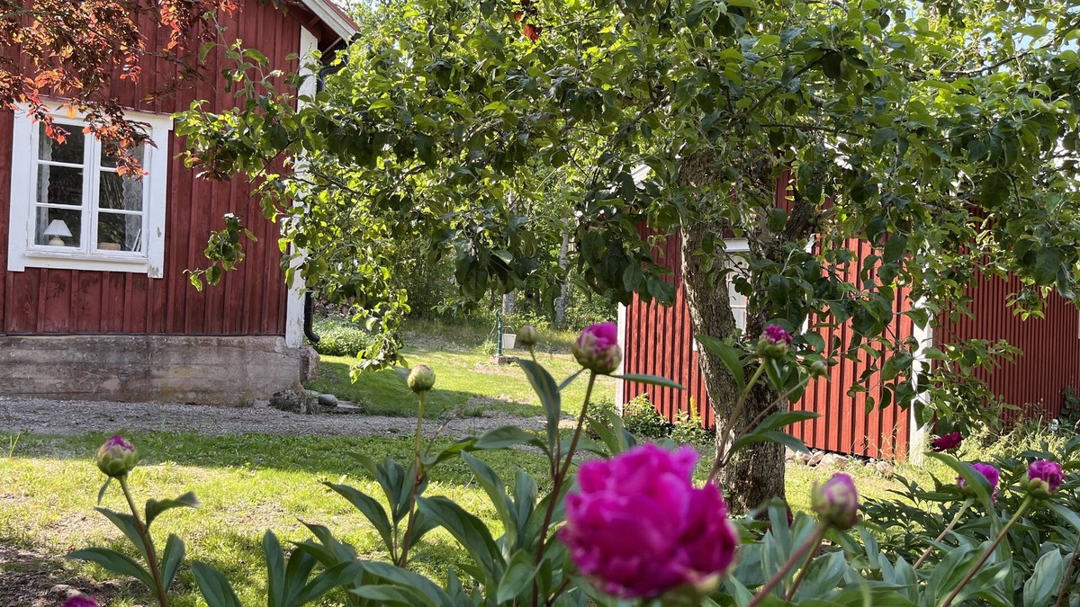 Stora Sundby House | Cute cottage in the countryside in Sörmland with horses and forest as neighbors!