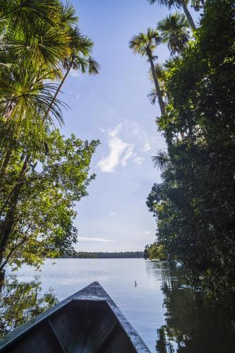 Tarapoa Cabin | Cuyabeno Nature Eco Lodge