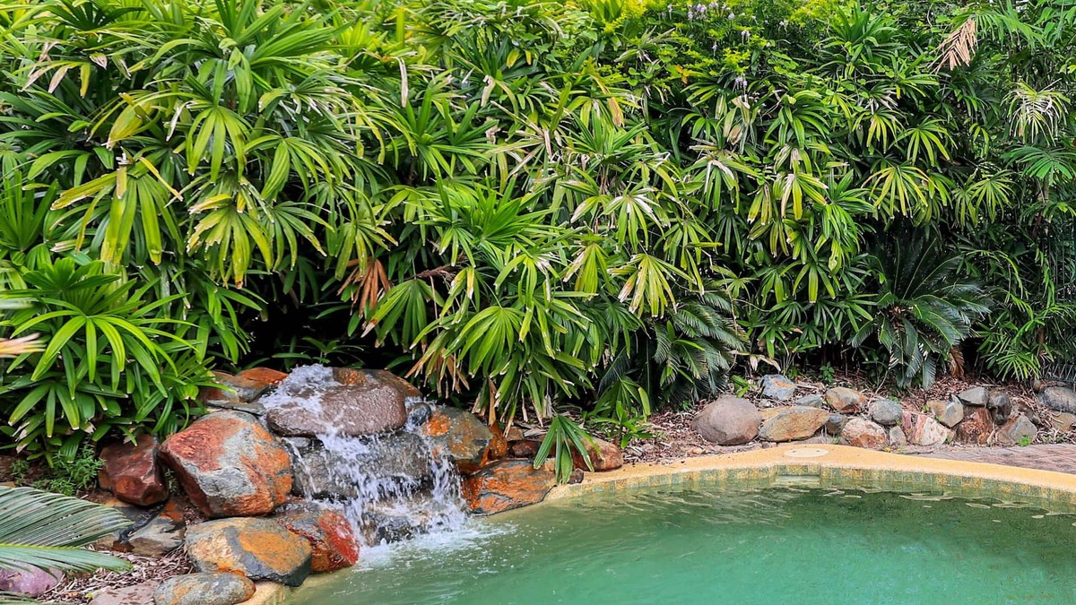 Gunn House | Cycad House: Big Family Home with waterfall plunge pool