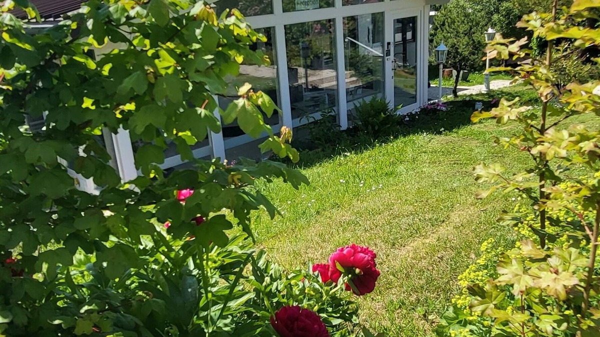 Niedenstein House | D&B staycation Ferienpark Modern apartment "Die Kugel" (child- pet friendly)